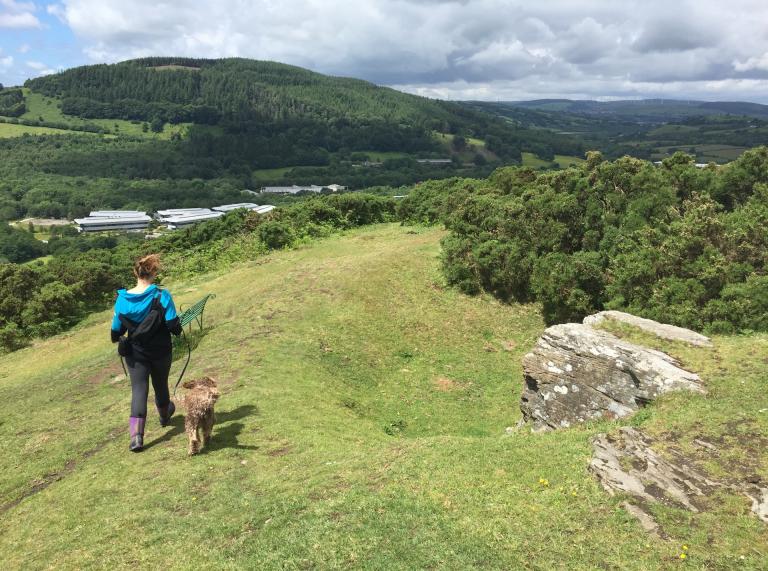 A woman and a dog walking above Llantrisant.