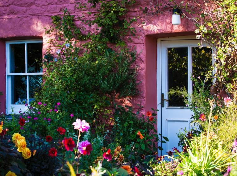 Outside of house with pink walls, showing front door, flowers and plants.