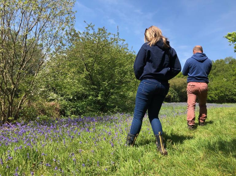 Female and male walkers in field with bluebells.