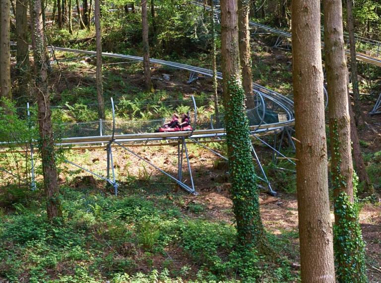 Two people on the Zip World Fforest Coaster