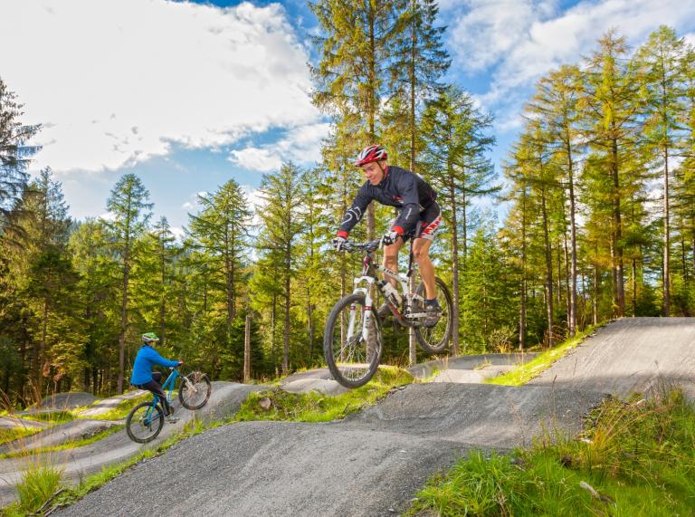 Mountain bikers practicing jumps on humps surrounded by pine trees.