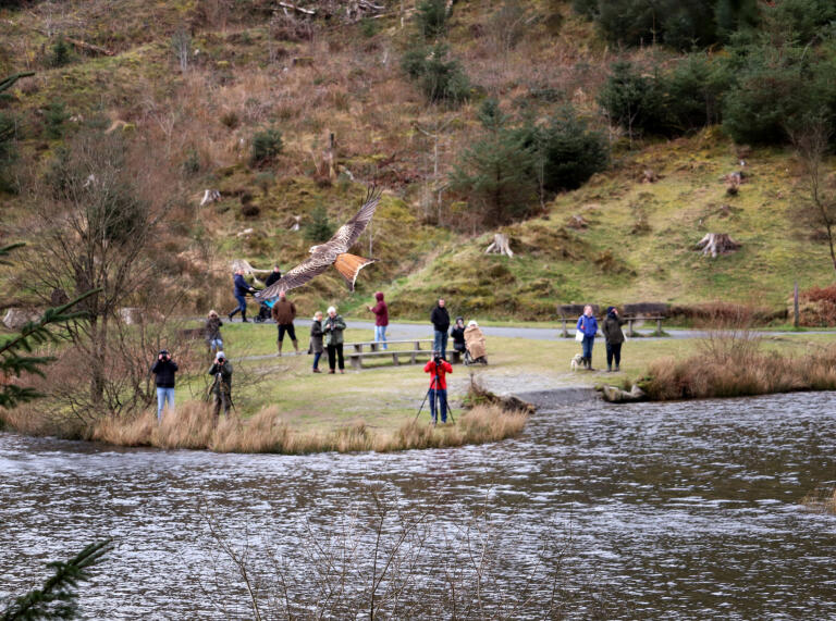 A red kite flying over a lake, being photographed by a group of people.