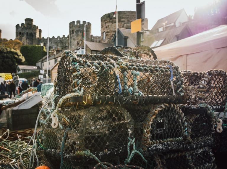 Fish baskets with castle in the background.