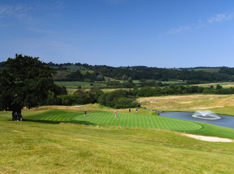 Blick über einen Golfplatz mit Bäumen im Hintergrund und blauem Himmel.