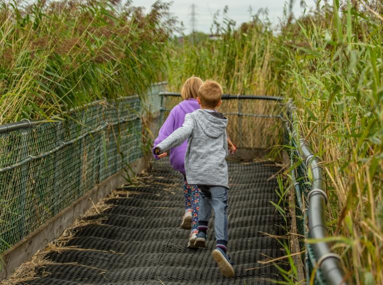 two children running along a boardwalk path through wetland reeds