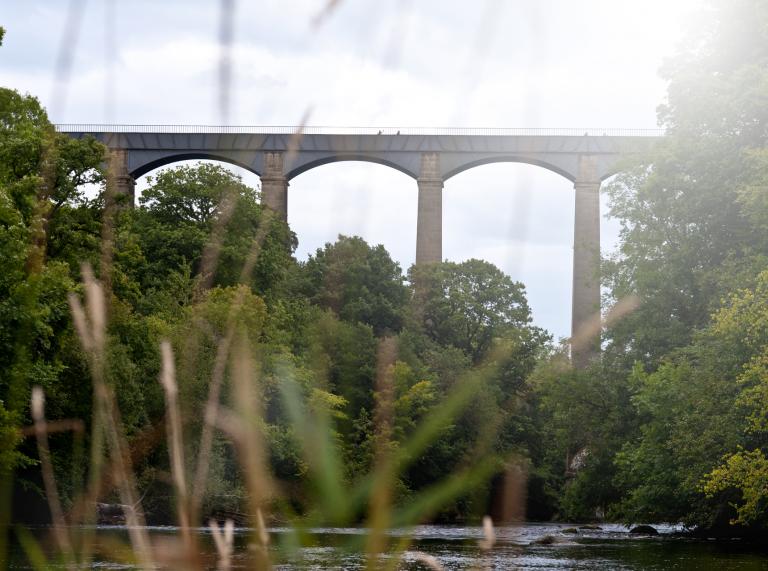  View of Pontcysyllte aqueduct from below with trees and the river.