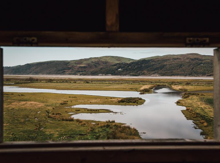 View from a hide at RSPB Ynys-hir Reserve
