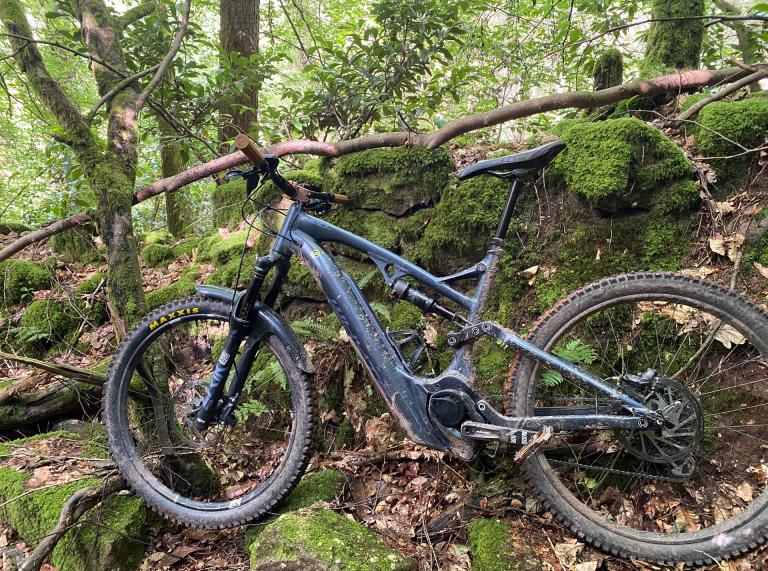 A mountain ebike leaning against mossy rocks.