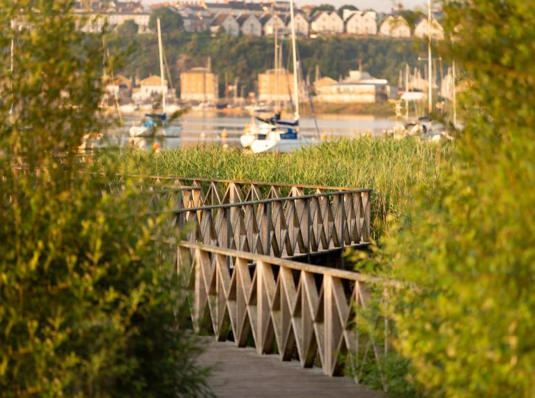 wooden boardwalk with grenery and fences, with boats in the background.