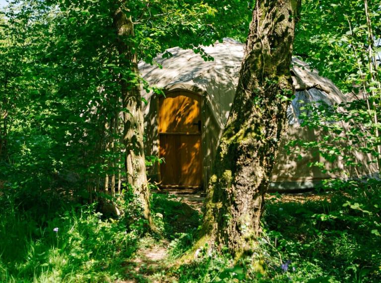 Eine im Wald versteckte Glamping-Unterkunft.