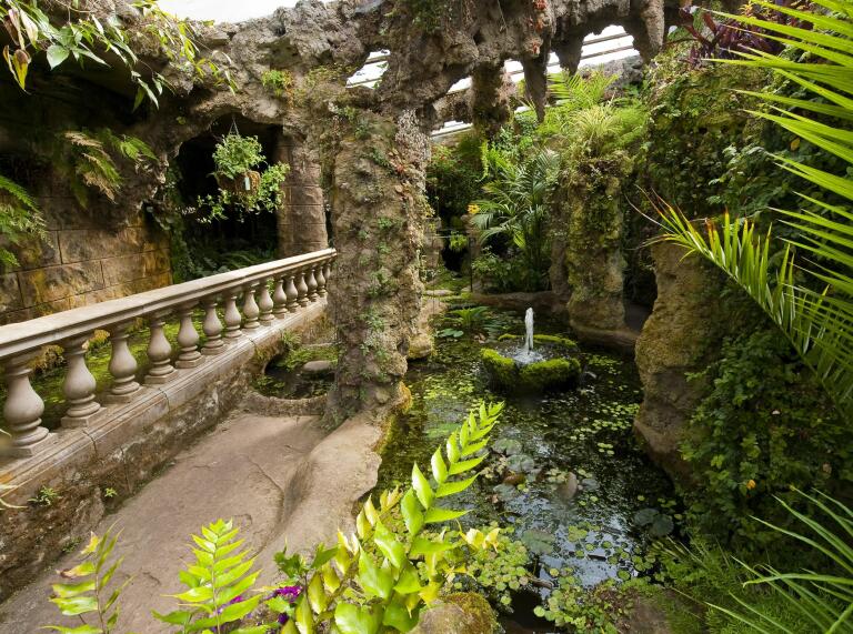 tropical plants and grotto.