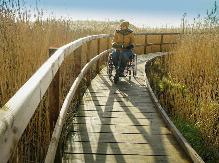 Eine Rollstuhlfahrerin auf einem Holzsteg durch ein Naturschutzgebiet.