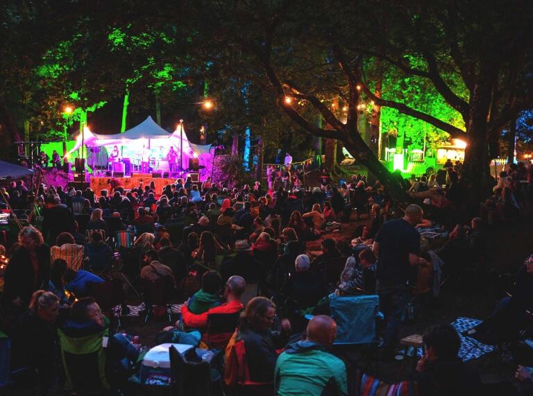 nighttime photo of festival.