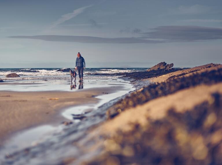 woman walking dog on beach.