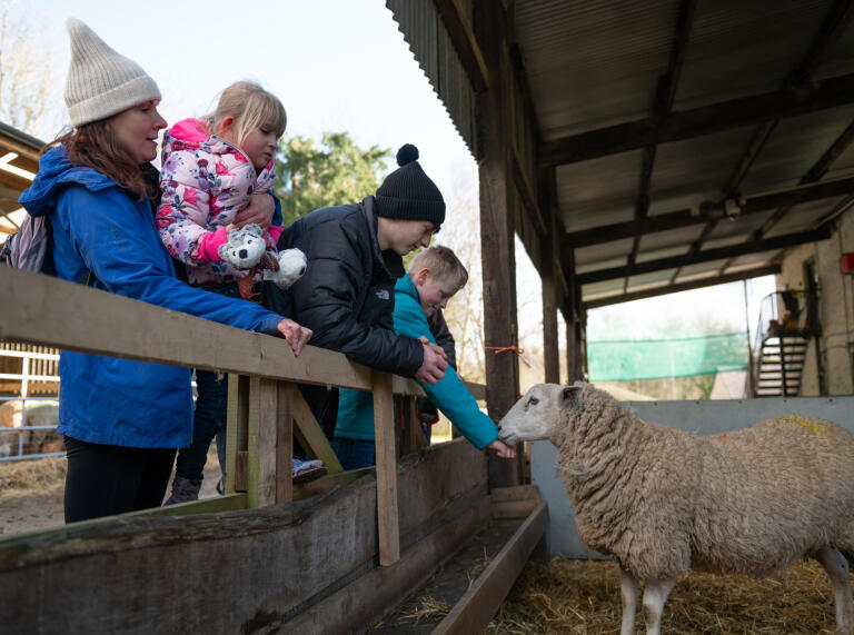 A woman and three children looking into a sheep pen.