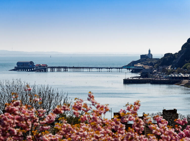 Ein Pier, der ins Meer hinausragt mit Blumen im Vordergrund.