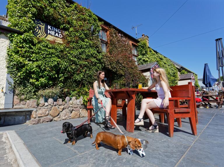 two women and dogs in beer garden.