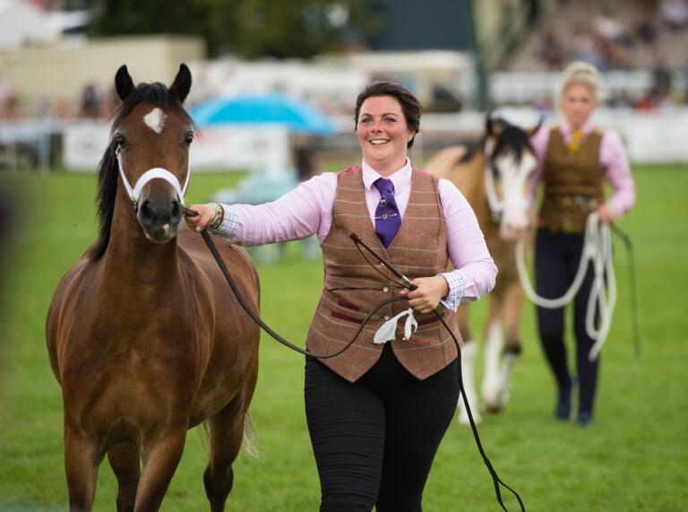 A woman dressed in a smart waistcoat and tie leading a horse in show ring.