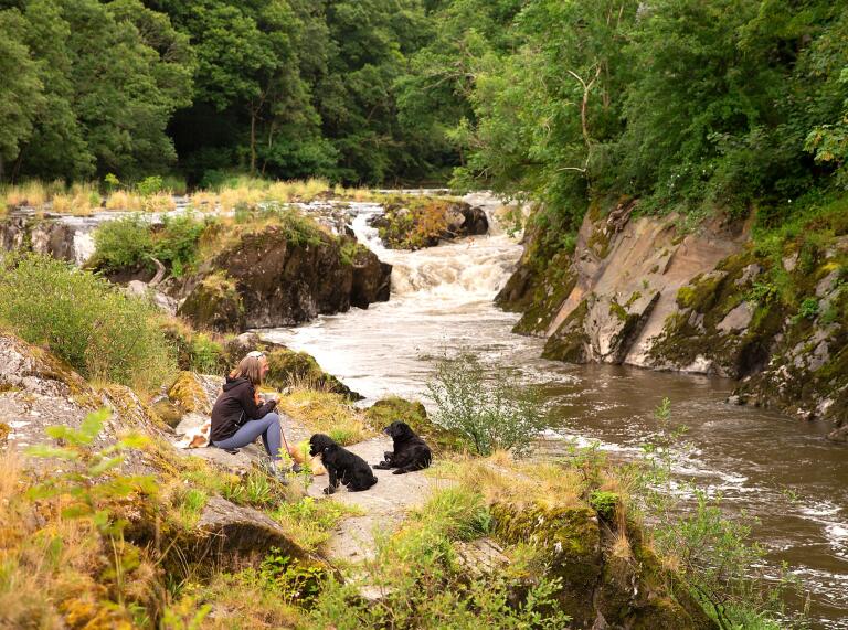 Frau mit zwei Hunden sitzt in der Nähe von Wasserfall und Fluss.