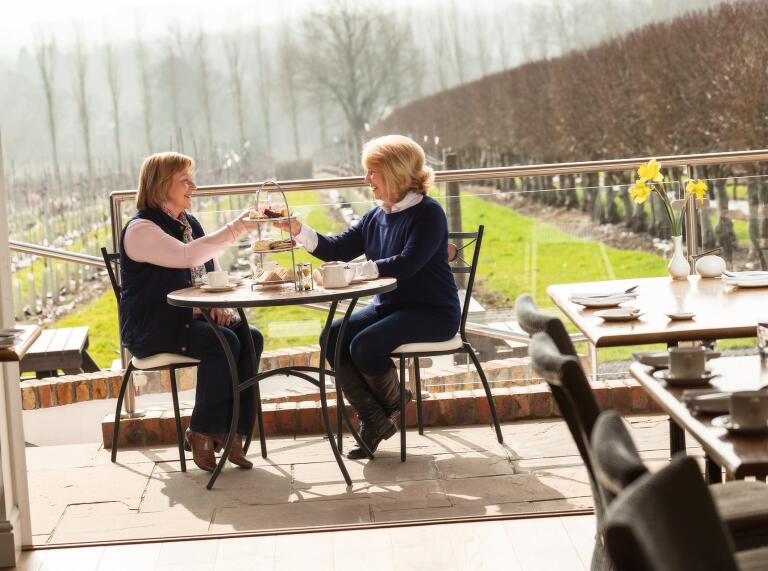 Two women enjoying an afternoon tea at a vineyard