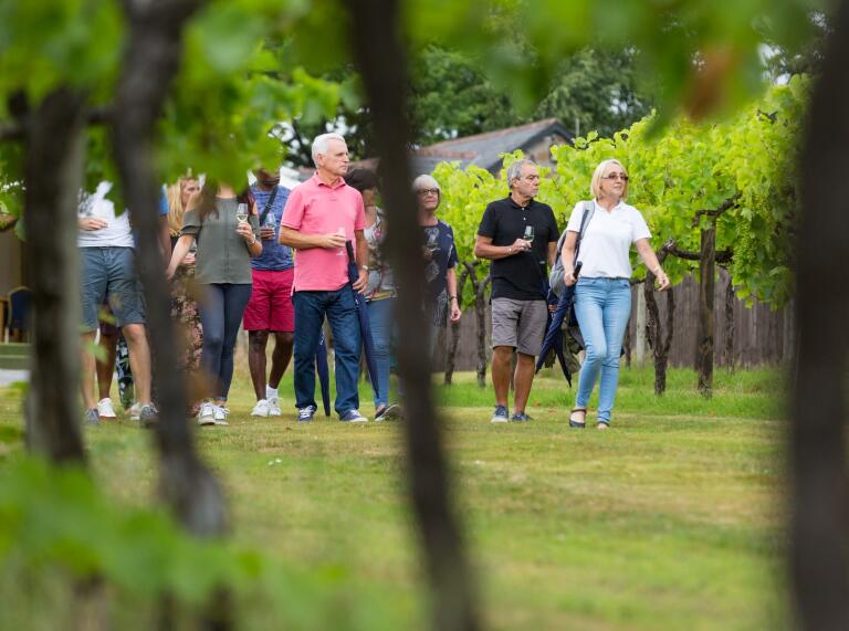 A group of people touring a vineyard