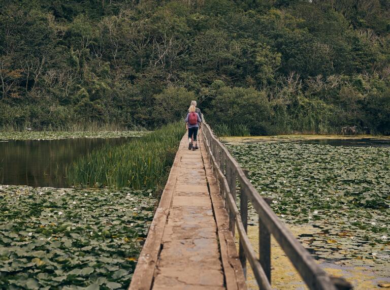 Two people walking along a wooden bridge over a lily-filled lake.