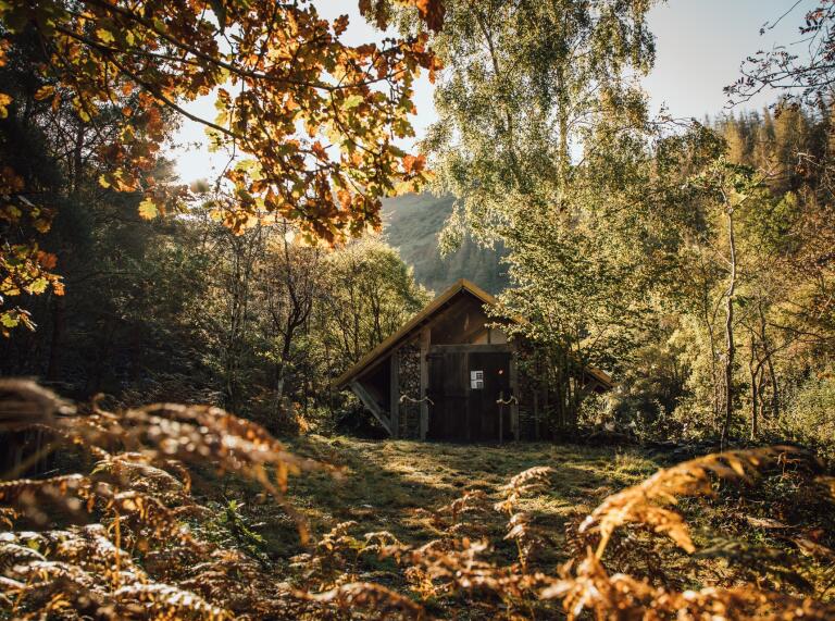 A wooden hut hidden amongst the forest.