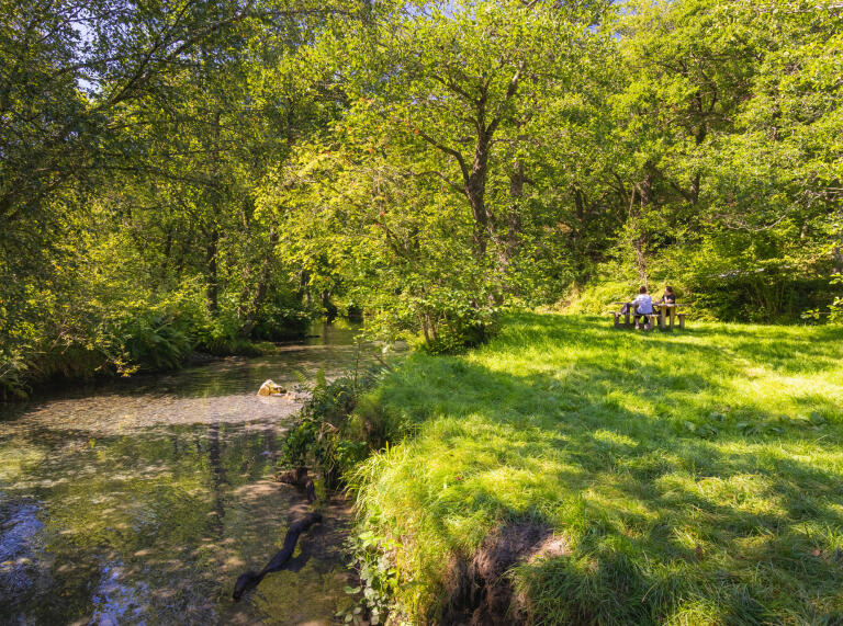 A shallow river in woodland, with a picnic bench on grass nearby.