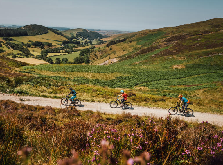 Three people on mountain bikes on a gravel trail on a hillside.