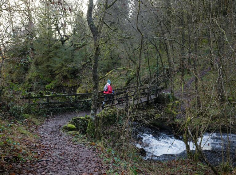 A lady walking over a wood bridge over a woodland stream. 