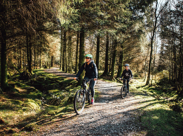 A man and child on mountain bikes, riding along a gravelled woodland trails