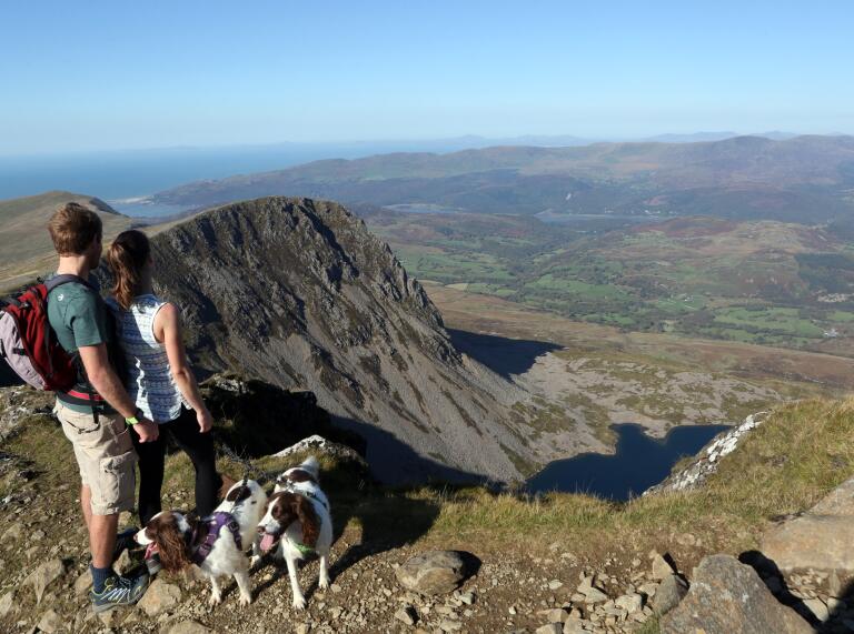 Couple with two dogs looking towards Llyn y Cadair.