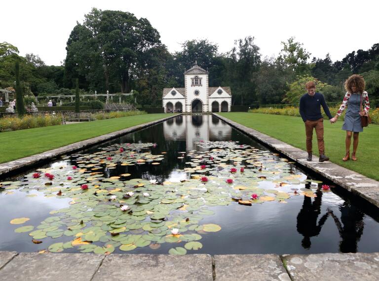 lily pond and couple walking besides it.