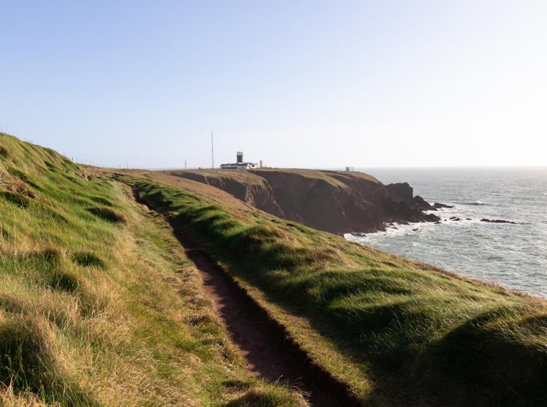 A grassy clifftop path looking towards a white lighthouse.