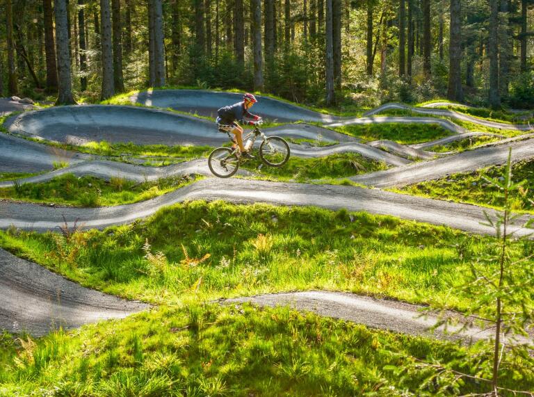 A mountain biker on zip zagging tracks with forest trees in the background.