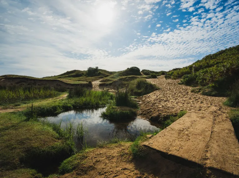 Sandy path near water.