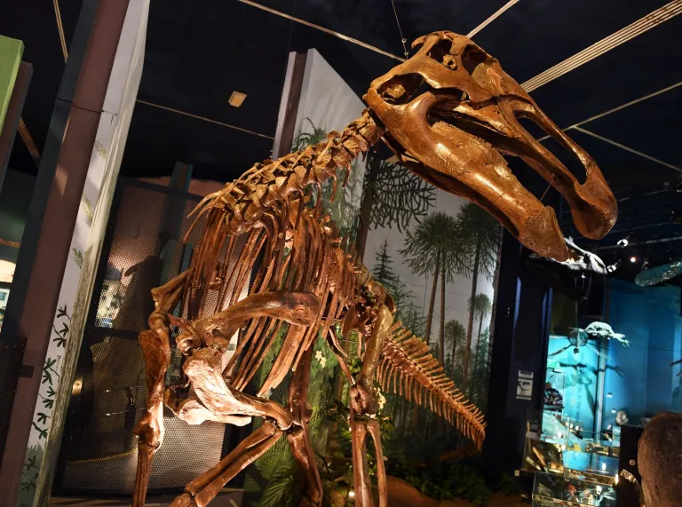 Dinosaurier bei Nationalmuseum, Cardiff.