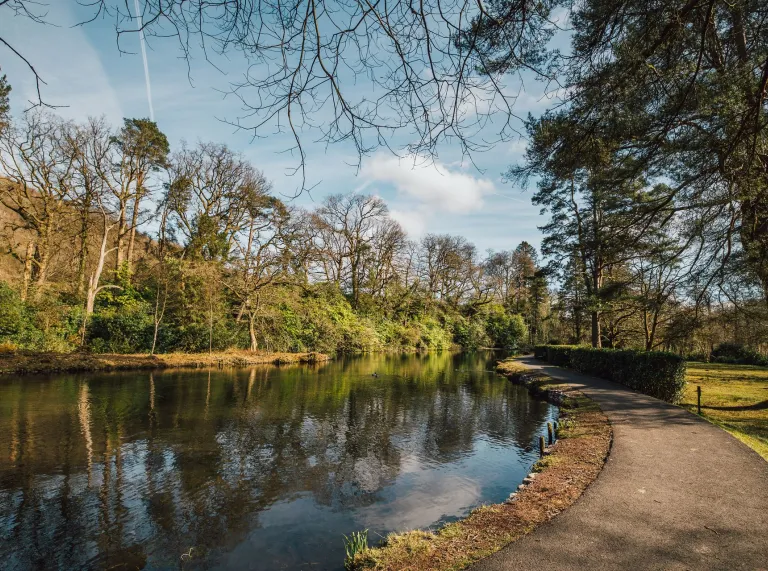 lake and path surrounded by trees.