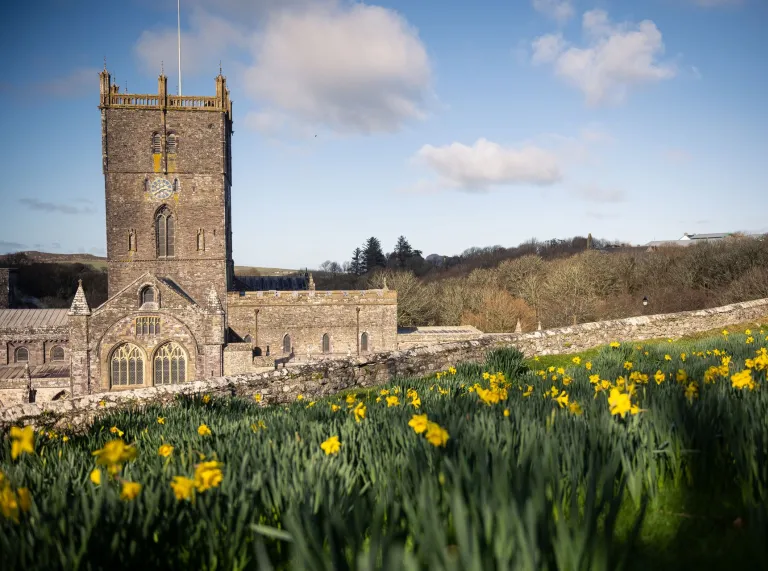 A large cathederal with daffodils in the foreground.