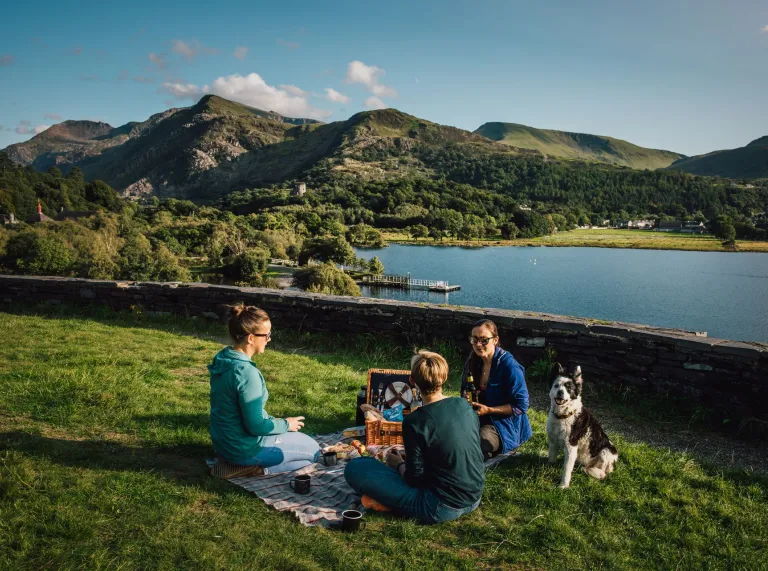 Three people and a dog having a picnic on a lakeside, with mountains in the background.