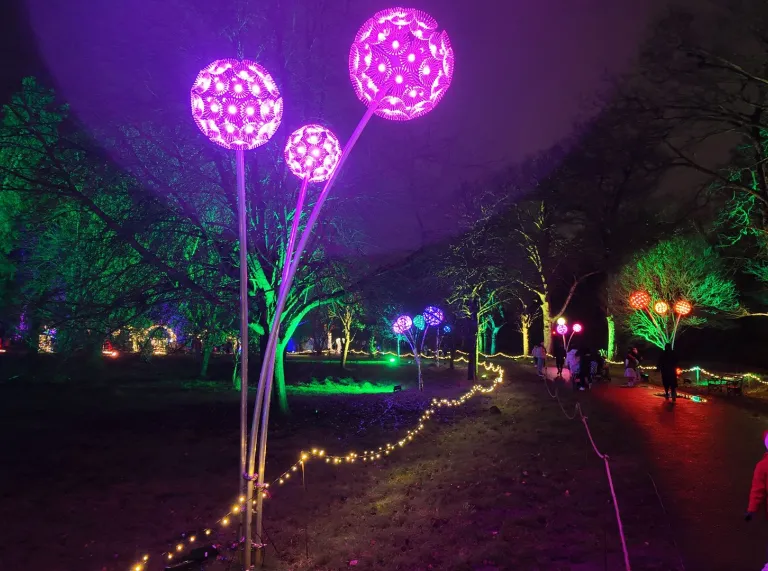 light show in park at night with people walking along path.