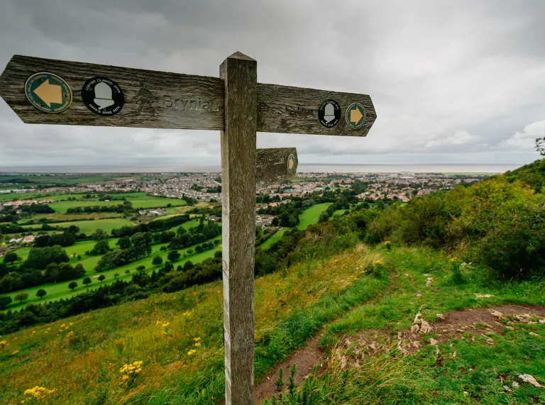 How about this—still short, but with a tWeathered wooden signpost on a hillside footpath overlooking green fields, woodland and a coastal town under a grey sky.