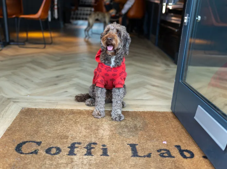 Dog wearing a red hoodie sitting on a doormat reading “Coffi Lab” at the entrance to a café, with chairs and tables visible inside.