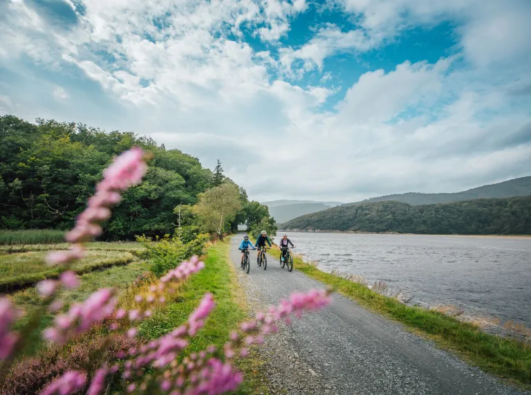Three cyclists ride along a gravel path beside a lake, with wooded hills and pink heather in the foreground.