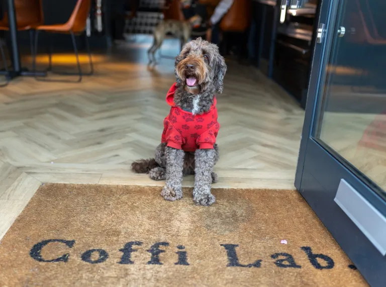 Dog in a read coat sitting on the door step matt of a cafe