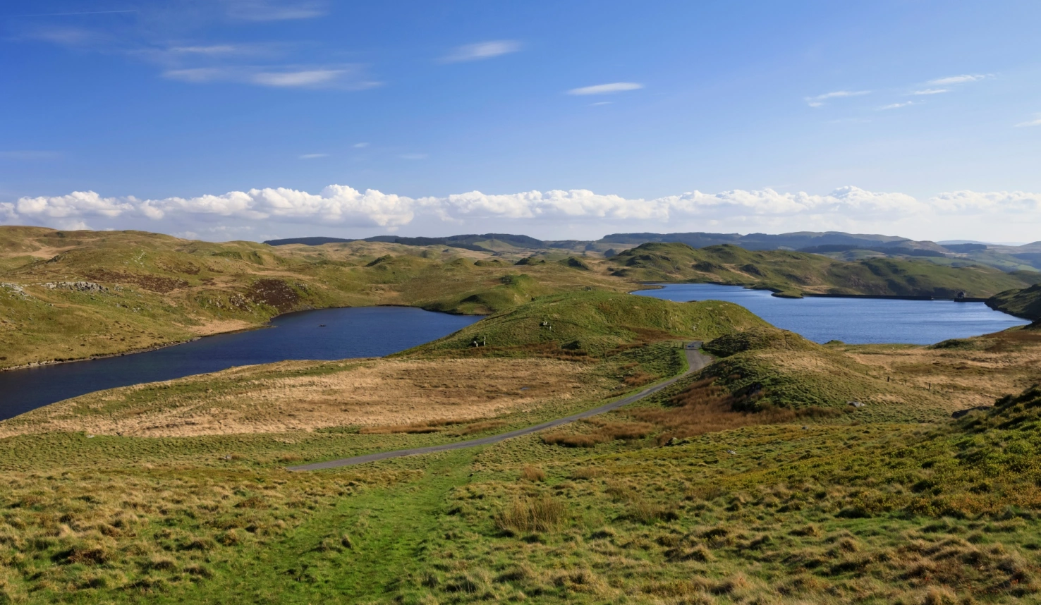 River Teifi at Cenarth Falls Wales