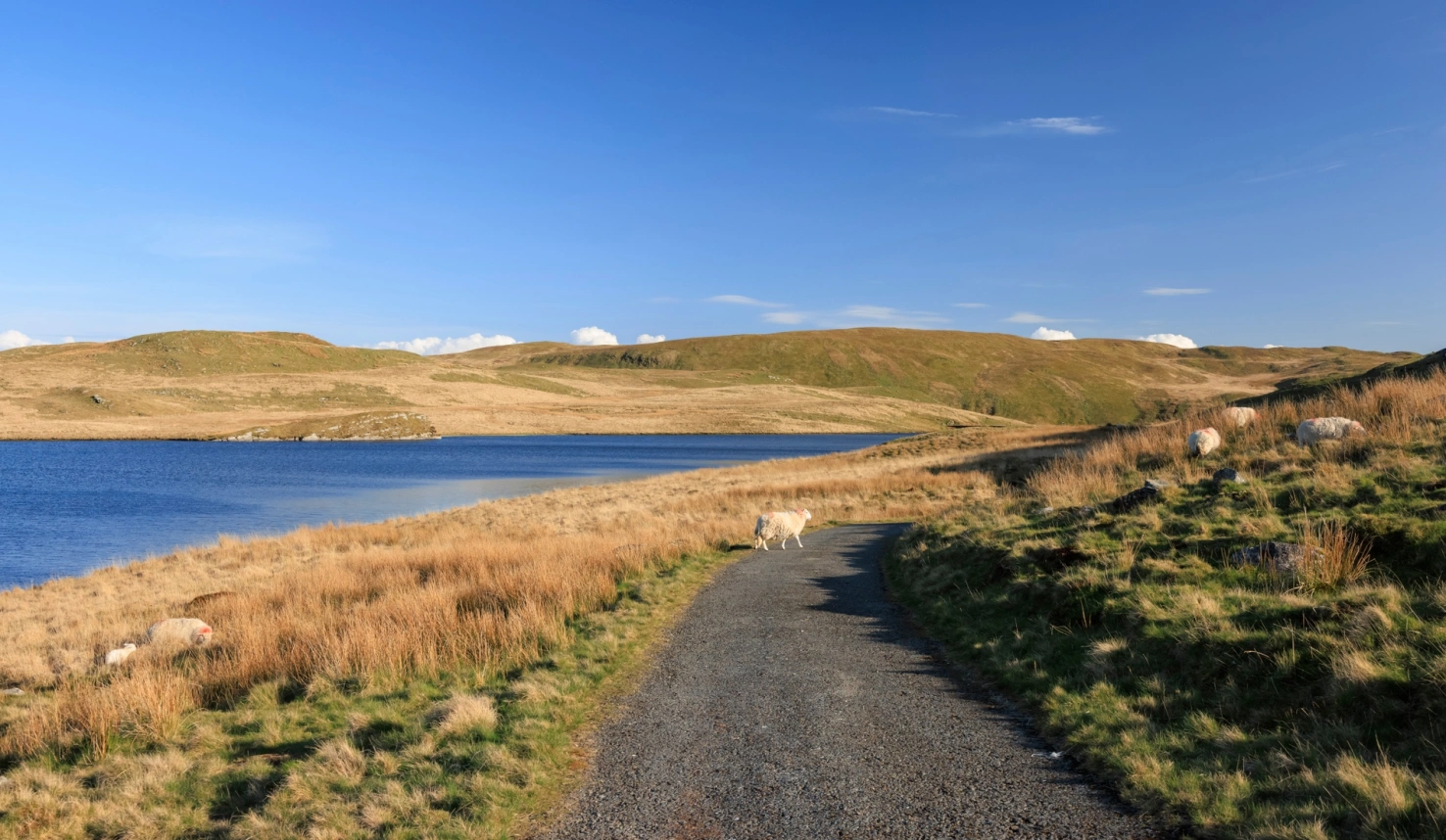 River Teifi at Cilgerran Castle Wales