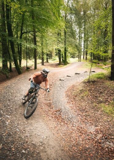 A mountain biker riding downhill on a dirt track amongst forestry.