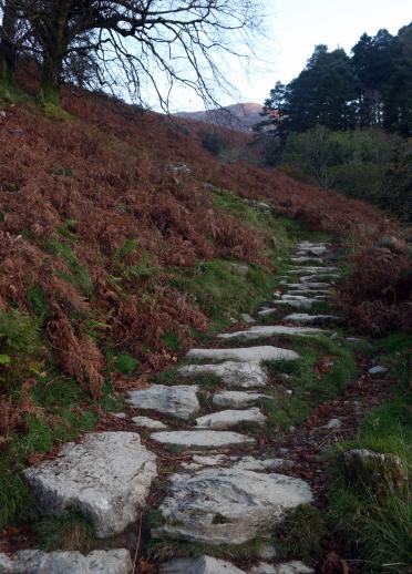 A stone paved path up a mountainside.