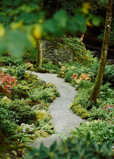 A path winding through a garden amongst plants and trees.